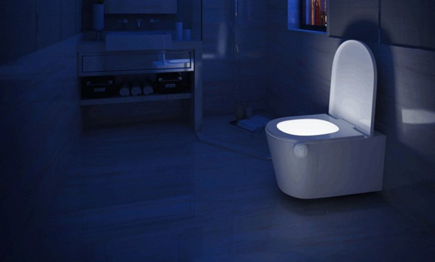 Дизайн туалета (2023) - 150 фото лучших интерьеров санузла